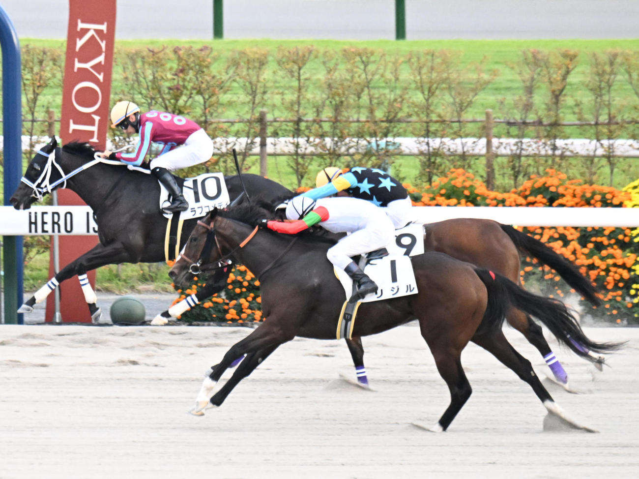 10月27日、前走の京都12R3歳上2勝クラスで2着に敗れたリジル（手前）