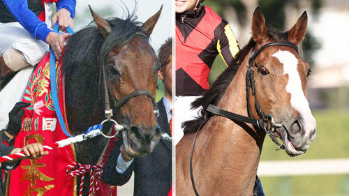 キングカメハメハ(左)と牝馬クラシック2冠のチェルヴィニア