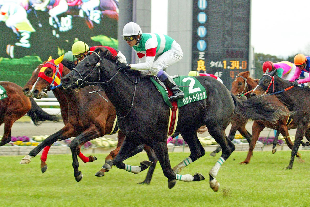 05年京都制した制したハットトリック