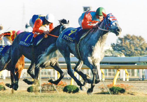 88年天皇賞・秋を制したタマモクロス(右)。左は2着オグリキャップ