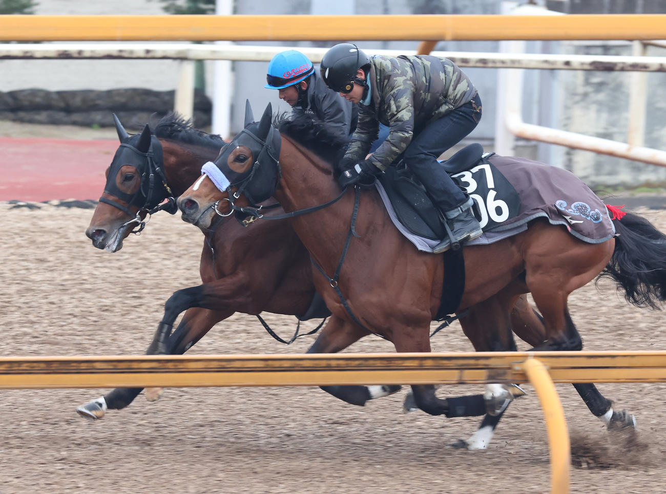 Cウッドにて併せ馬で追い切るヴェローチェエラ（奥）