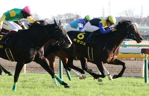 21年白富士Sを制したポタジェ