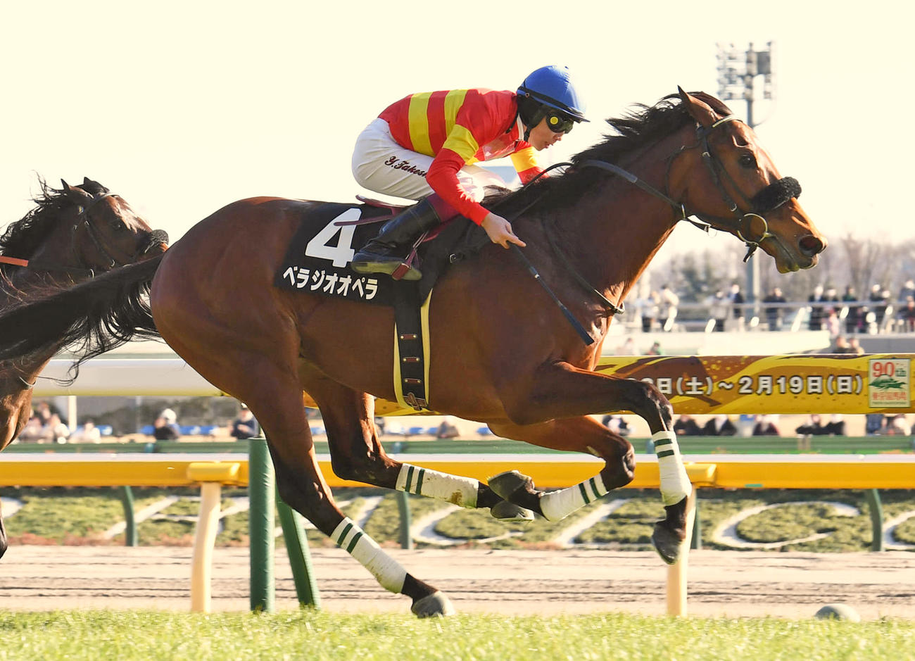 23年セントポーリア賞を制したベラジオオペラ