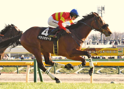 23年セントポーリア賞を制したベラジオオペラ