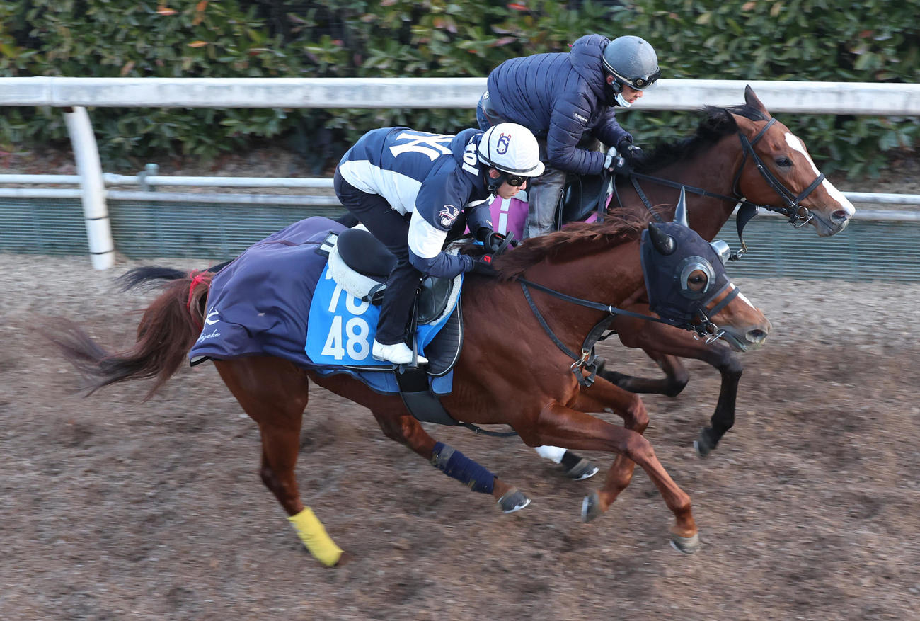 坂路で併せ馬で追い切るサンライズフレイム（手前）