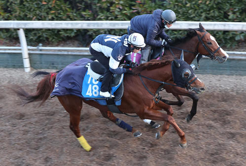 坂路で併せ馬で追い切るサンライズフレイム(手前)