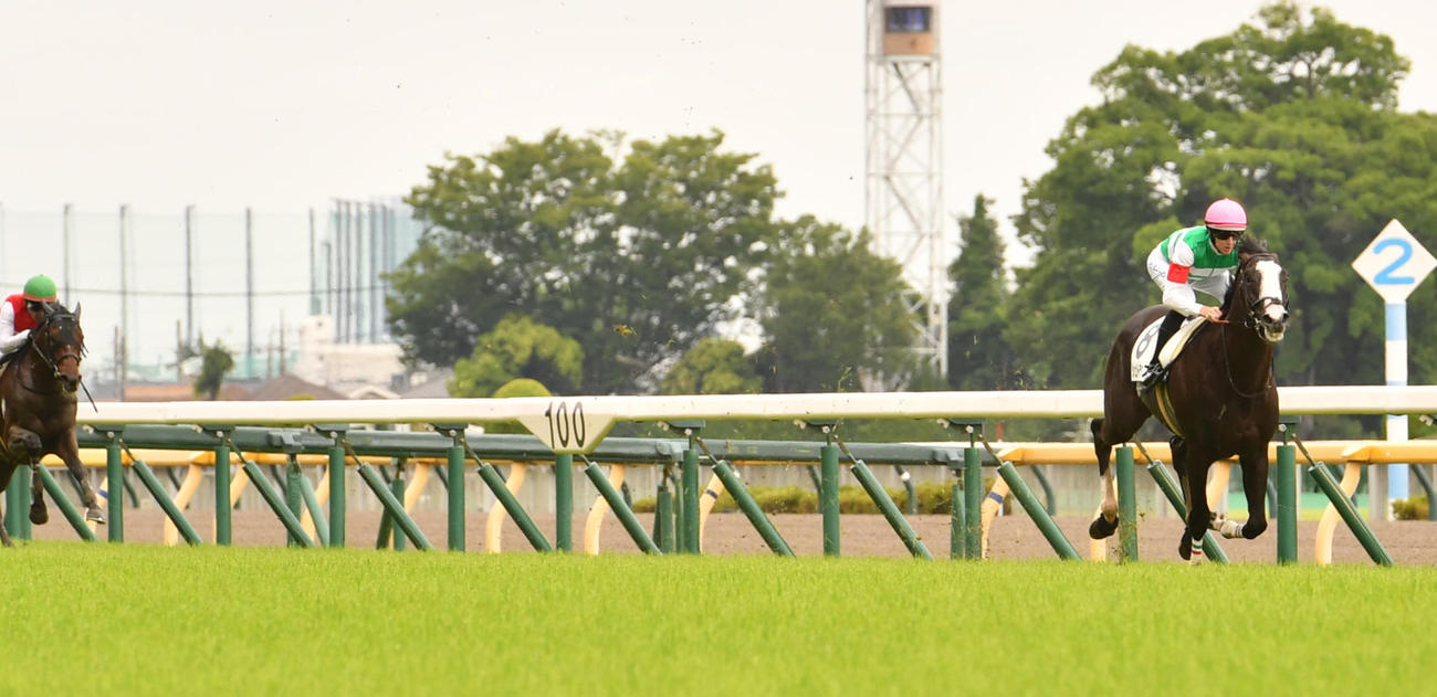 23年6月3日、東京5Rの新馬戦で2着に9馬身の差をつけて圧勝したシュトラウス