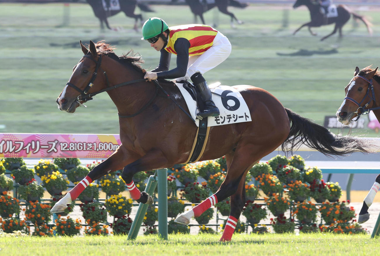 24年12月8日、京都3R2歳未勝利を勝ち上がったモンテシート