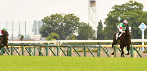 23年6月3日、東京5Rの新馬戦で2着に9馬身の差をつけて圧勝したシュトラウス