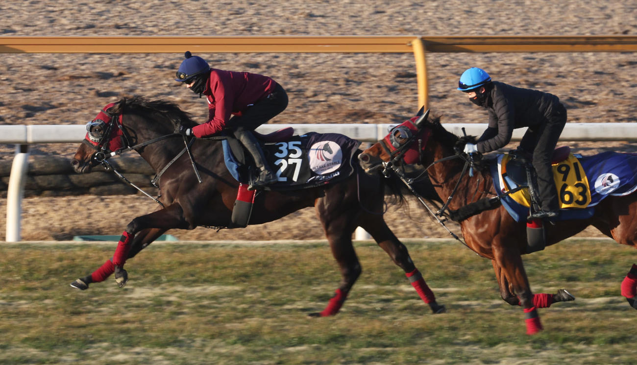 坂井騎手を背に芝コースにて併せ馬で追い切るヒルノハンブルク（左）
