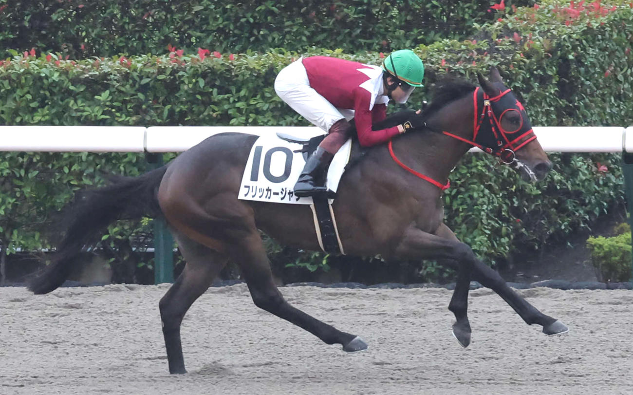 24年11月2日、東京1R2歳未勝利戦を制したフリッカージャブ