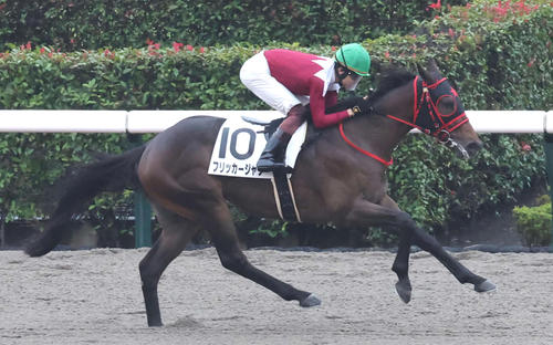 24年11月2日、東京1R2歳未勝利戦を制したフリッカージャブ