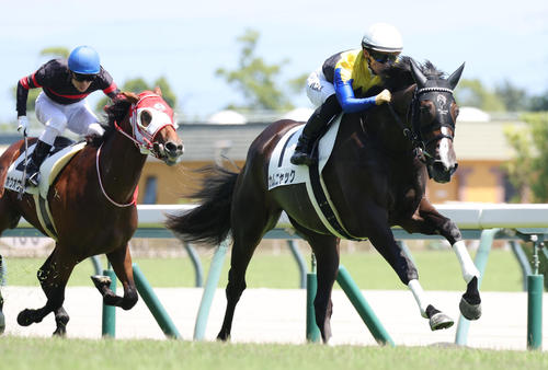 24年8月11日、中京5R新馬戦を制したカムニャック