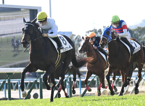 24年12月15日、京都4Rの2歳未勝利戦を制したショウヘイ