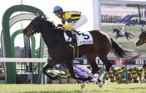 24年12月22日京都6Rの新馬戦を制したマトラコーニッシュ