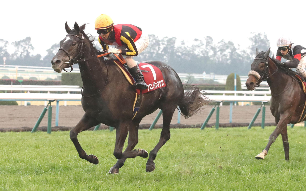 20年京都記念を制したしたクロノジェネシス