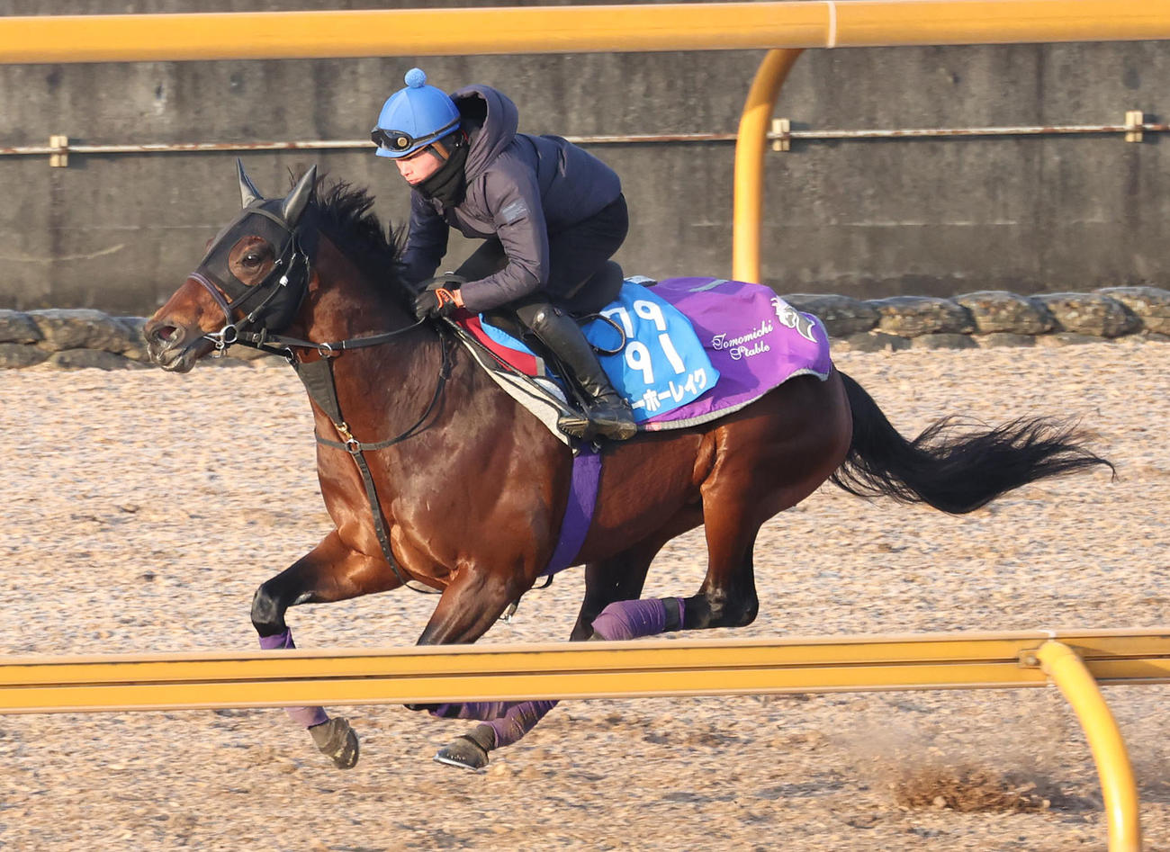 岩田望騎手を背にCウッドを単走で追い切るヨーホーレイク（撮影・白石智彦）