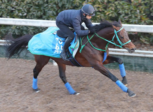 坂路で追い切るプラダリア
