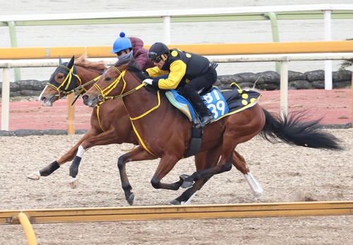 12日、横山武騎手を背に併せ馬で追い切るワンモアスマイル(左)