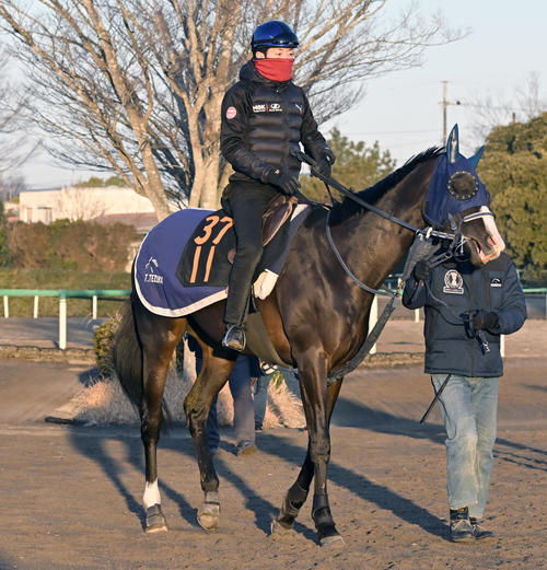 12日、津村明秀騎手を背に、馬場に向かうマスカレードボール