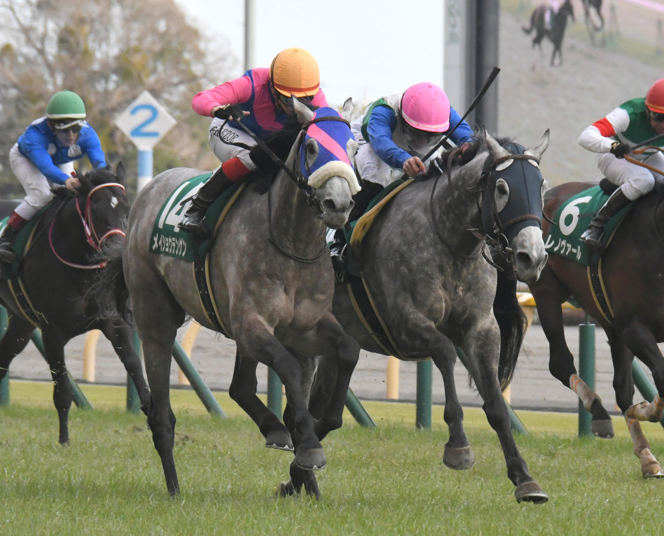 20年ダイヤモンドSを制したミライヘノツバサ（右）、左は2着メイショウテンゲン