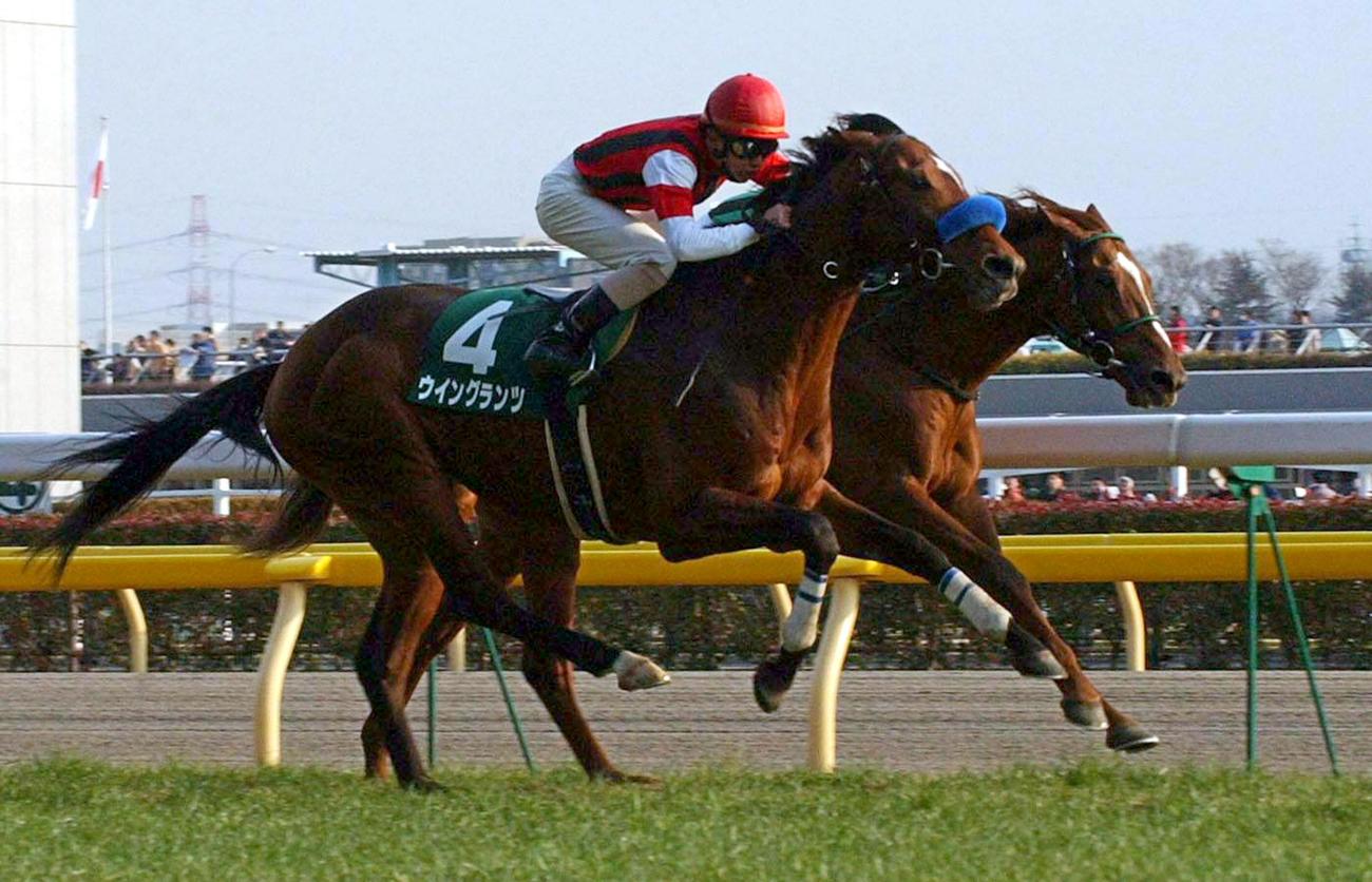 05年ダイヤモンドステークスを制したウイングランツ