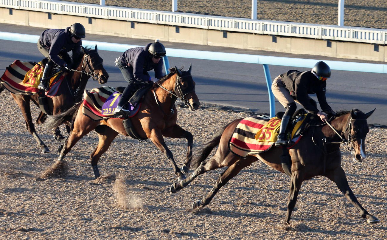 19日、コスタノヴァ（中央）は美浦ウッドを3頭併せで追い切られた
