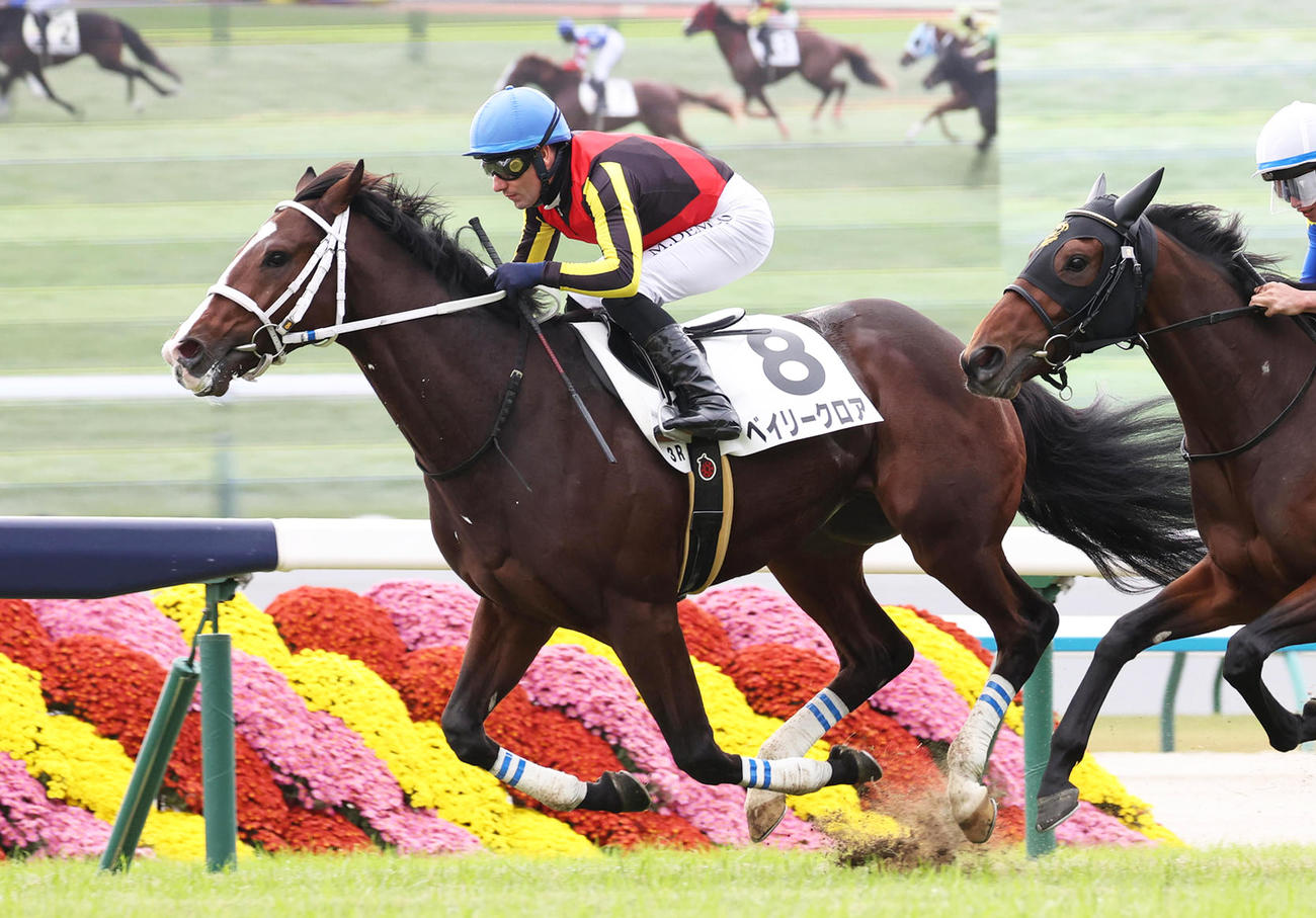 24年11月24日京都3Rの2歳未勝利を勝ち上がったベイリークロア