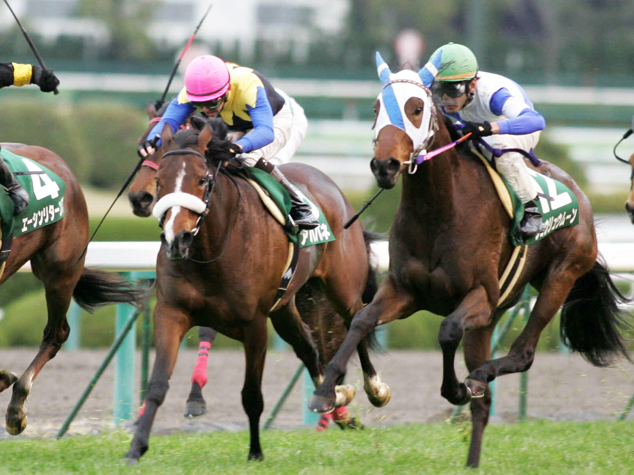 10年チューリップ賞2着に敗れたアパパネ（左）。右は勝ったショウリュウムーン