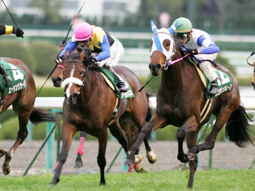 10年チューリップ賞2着に敗れたアパパネ(左)。右は勝ったショウリュウムーン