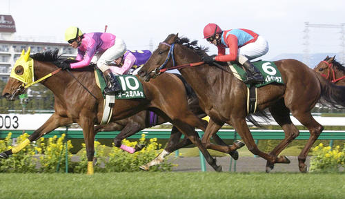 03年チューリップ賞2着に敗れたスティルインラブ(右)。左は勝ったオースミハルカ