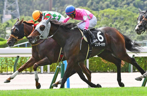 24年耶馬渓特別2着に敗れたワンダーキサラ(手前)