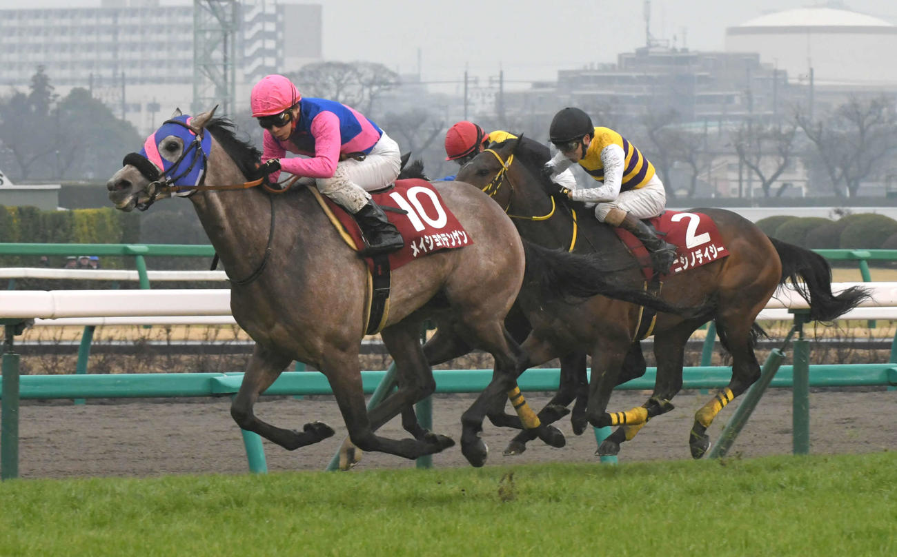 ゴール前抜け出したメイショウテンゲンと池添騎手が弥生賞を制した（2019年3月3日撮影）