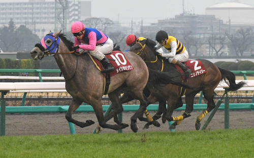 ゴール前抜け出したメイショウテンゲンと池添騎手が弥生賞を制した(2019年3月3日撮影)
