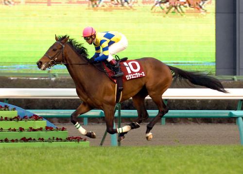 横山典騎手のロジユニヴァースは2馬身半差で弥生賞を制した(2009年3月8日撮影)