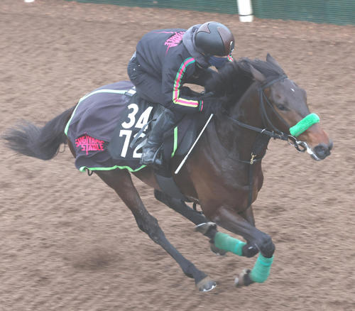 坂路で追い切るナグルファル