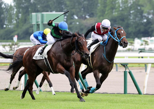 アストラッド(右)(2024年7月27日撮影)