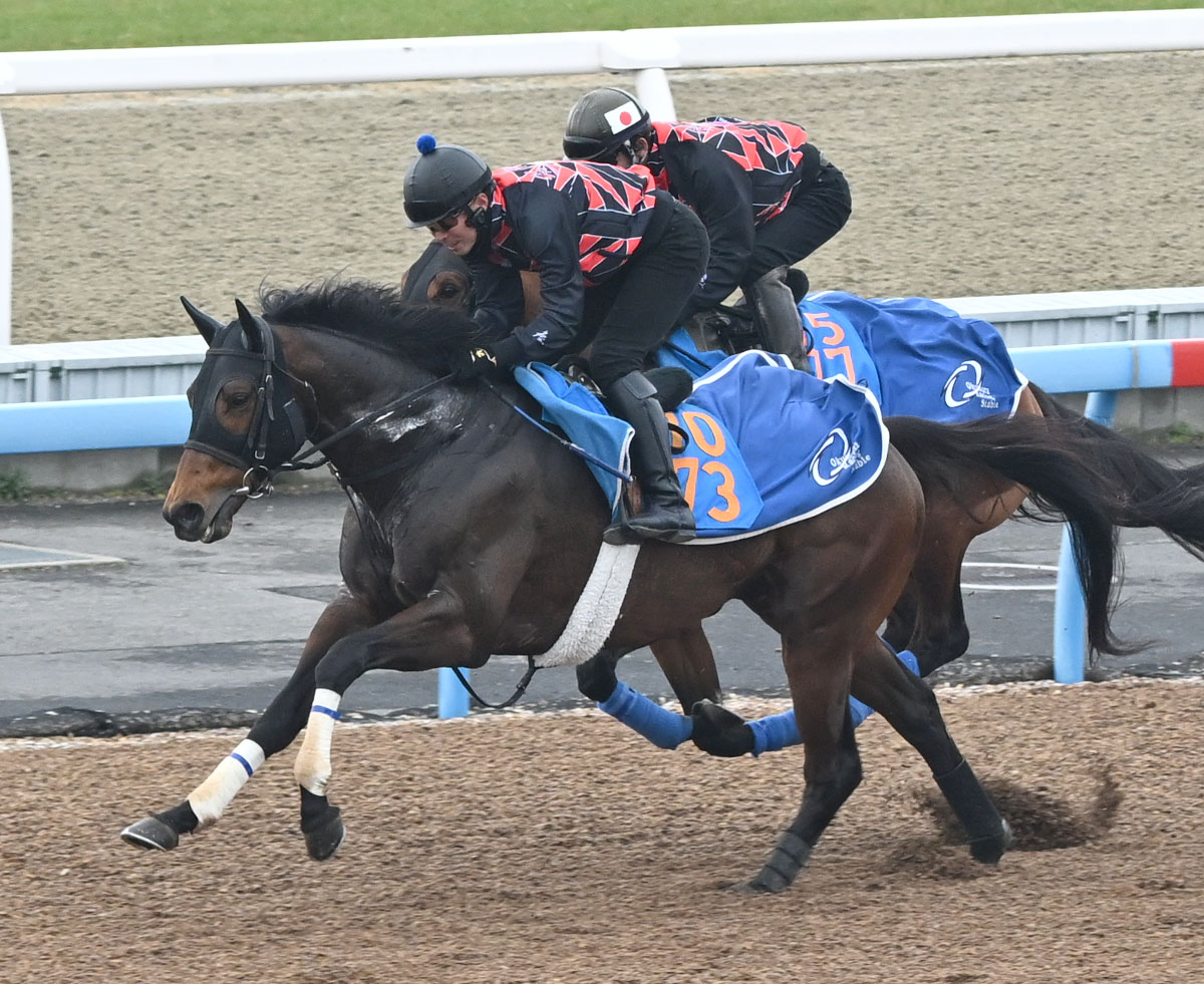 12日、美浦ウッドを3頭併せで追い切るホウオウビスケッツ（奥）とスズカコテキタイ