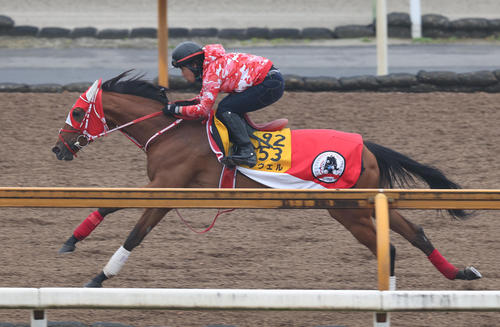 12日、Cウッドを単走で追い切るラヴェル