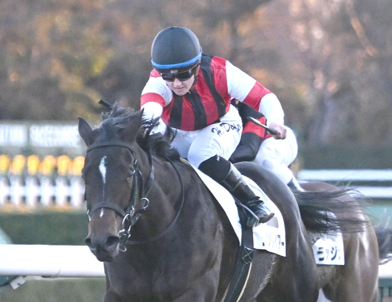 1月11日中山12Rの4歳上2勝クラスを制したウインレイアー