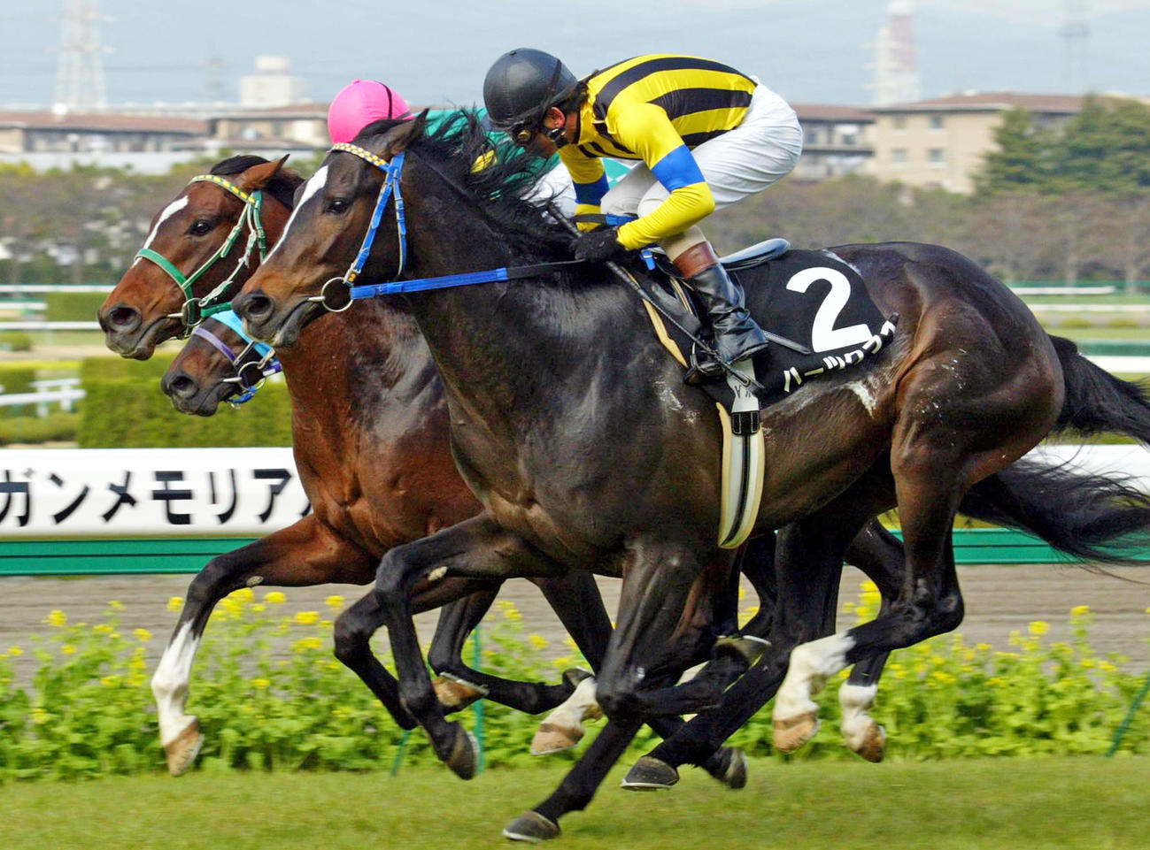 04年若葉Sを制したハーツクライ