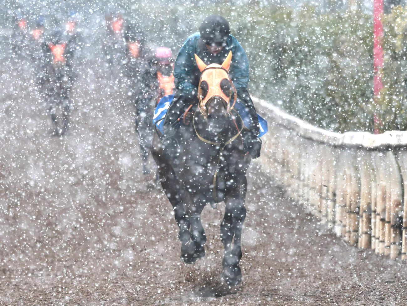 吹雪く坂路で速い時計を出したショウナンラプンタ
