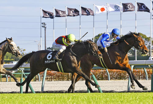 中京日経賞2着のケイデンシーマーク(左)