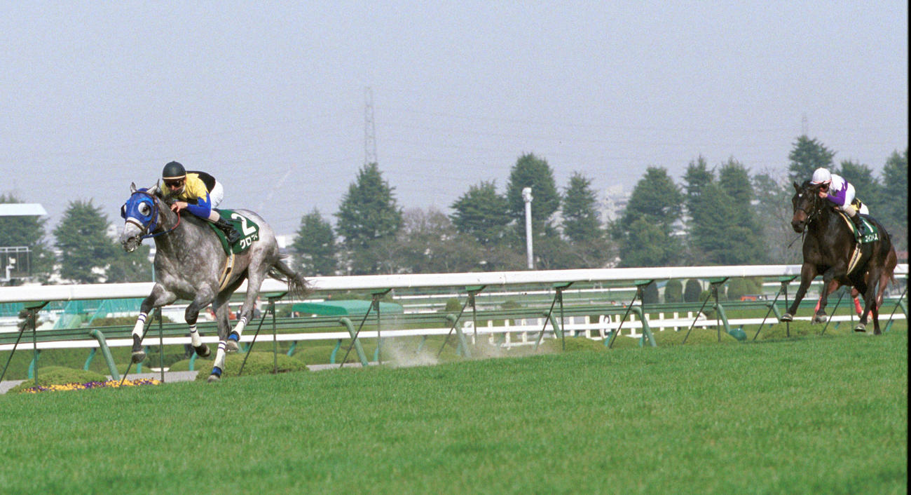 01年毎日杯を制したクロフネ。右は2着コイントス