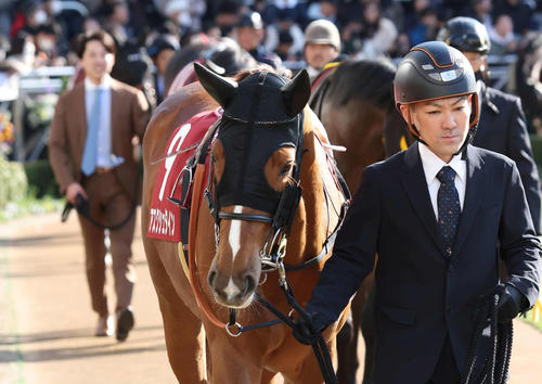 弥生賞6着のアスクシュタイン