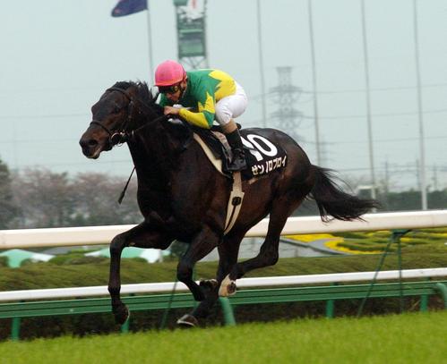 山吹賞を制したゼンノロブロイ