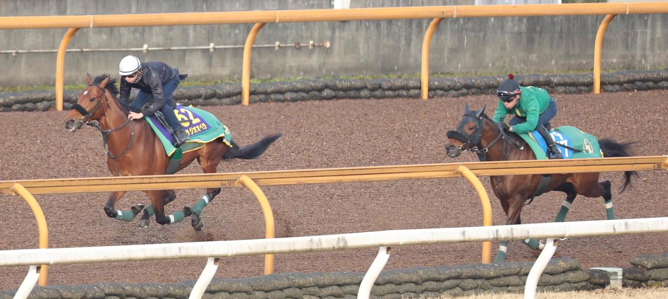 モズリッキー（右）と併せ馬で追い切るベラジオオペラ（左）