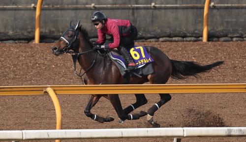 CWコースを単走で追い切るロードデルレイ