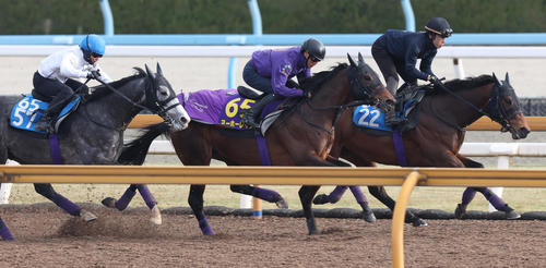CWコースにて3頭併せで追い切るヨーホーレイク（中央）