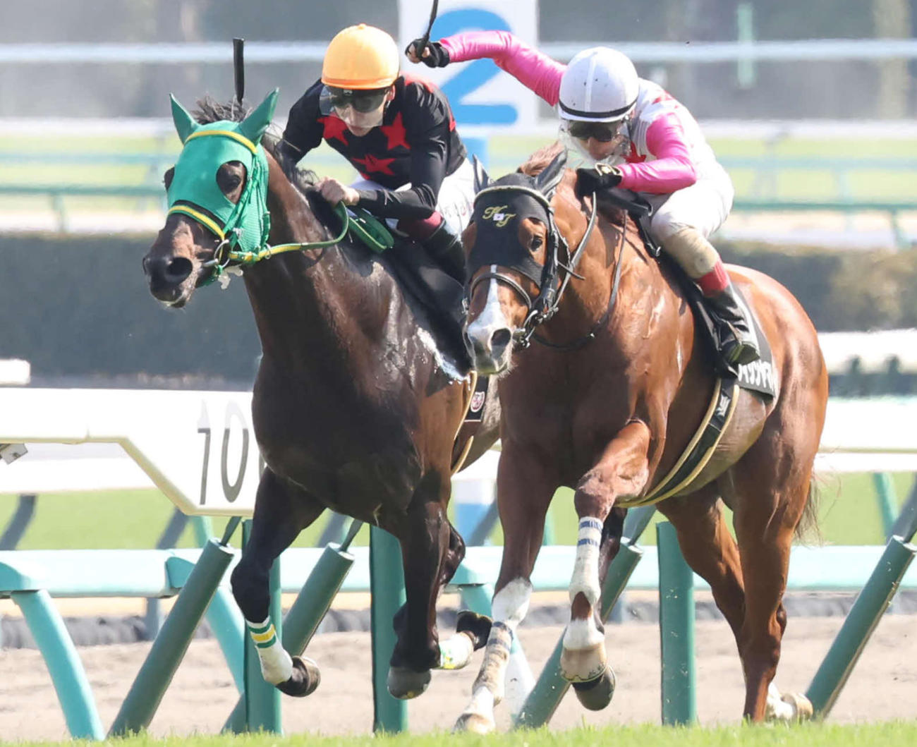 3月23日、鎌ケ谷特別2着に敗れたメタルスピード（左）